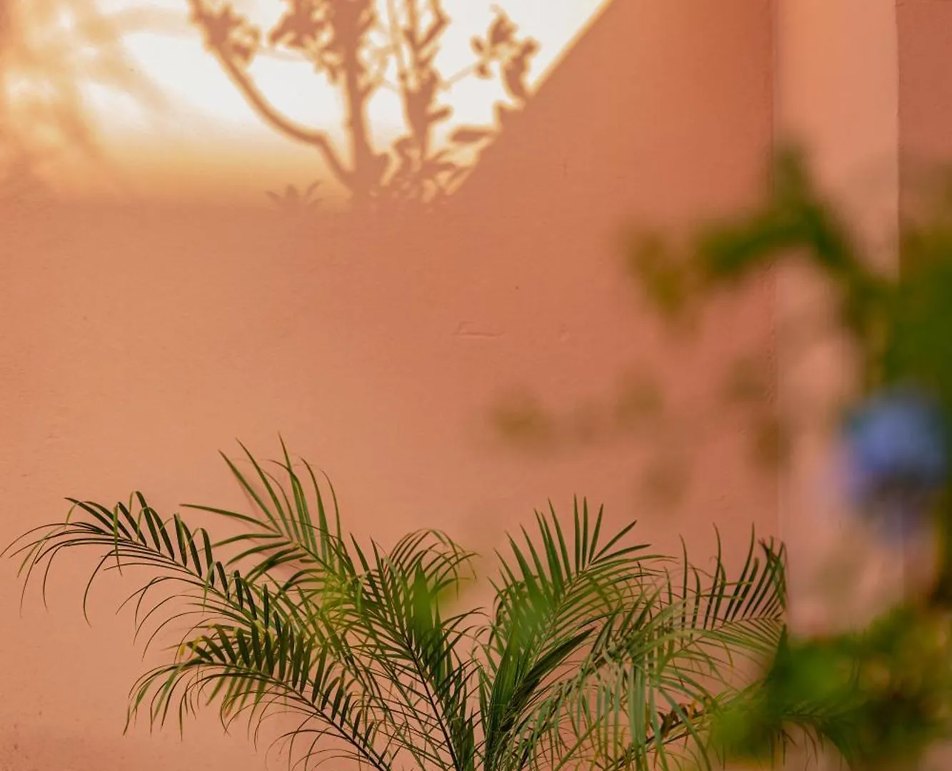 Hotel Riad Chami Marrakesh